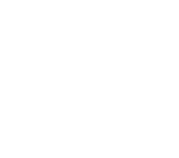 Promo 66